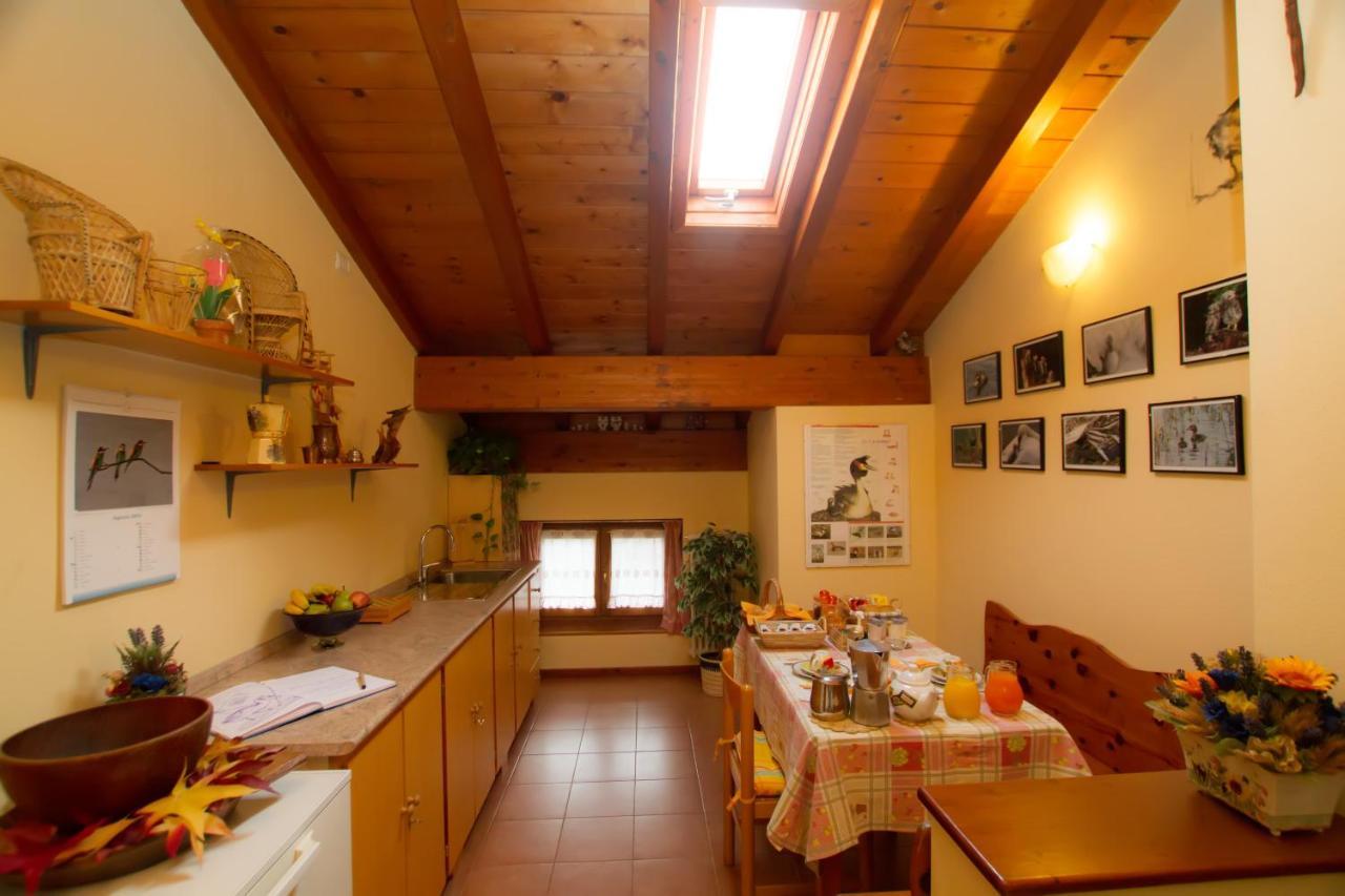 Guest House Il Nido Dello Svasso -Foresteria Lombarda- Sorico Εξωτερικό φωτογραφία